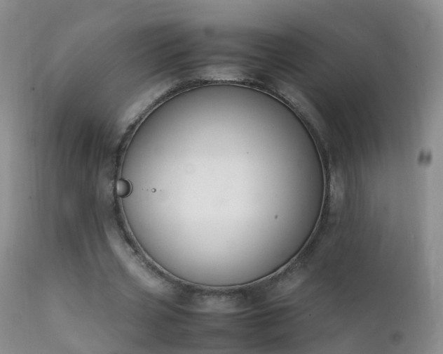 X0000112210533200908141500