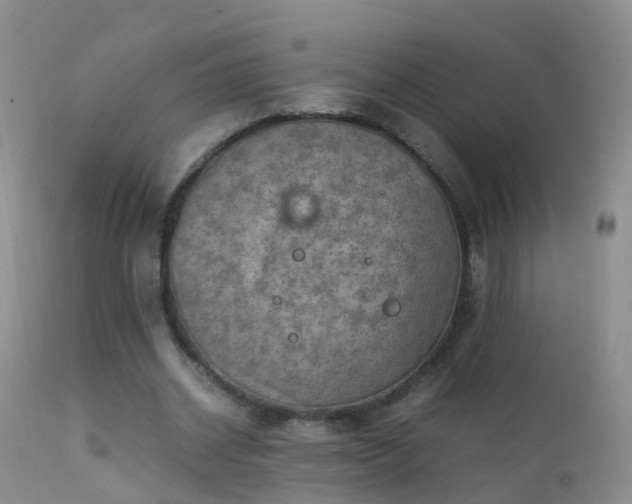 X0000112210534200908141500