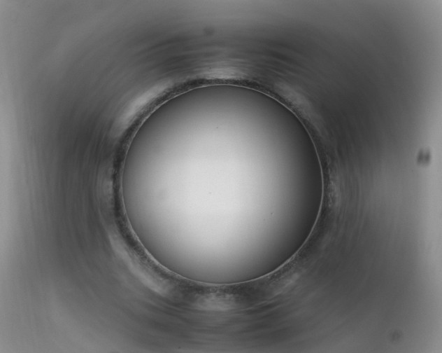 X0000112210535200908141500