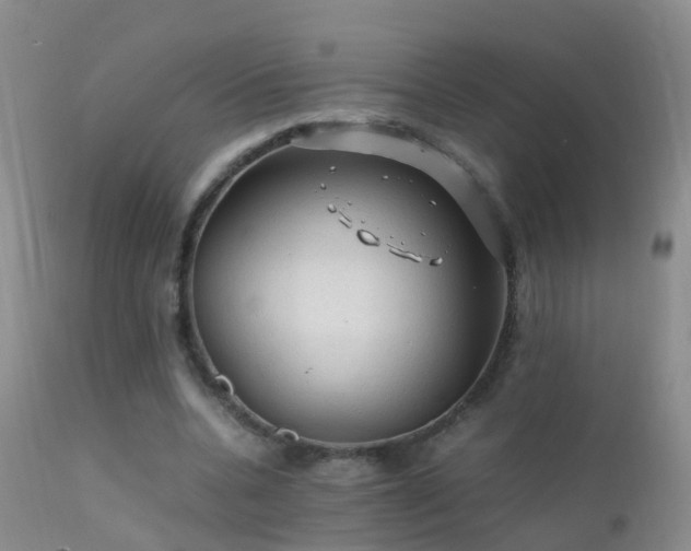 X0000112210536200908141500