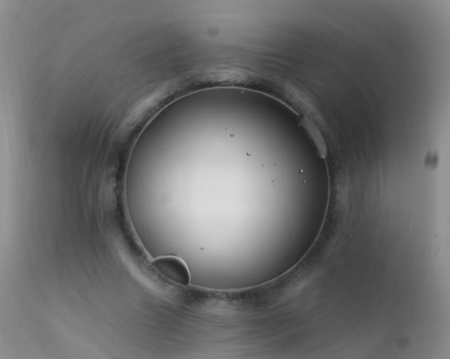 X0000112210538200908141500