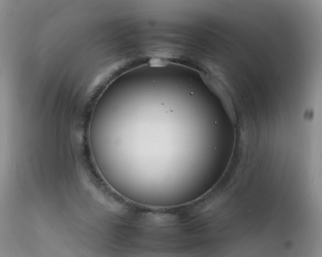 X0000112210539200908141500