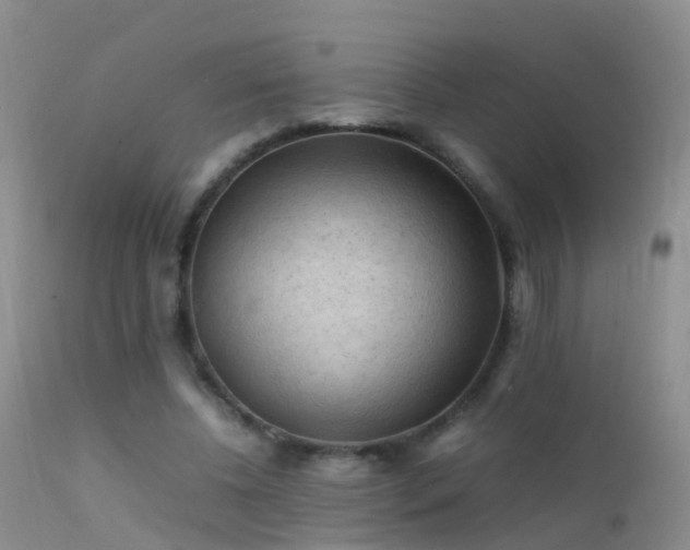 X0000112210540200908141500