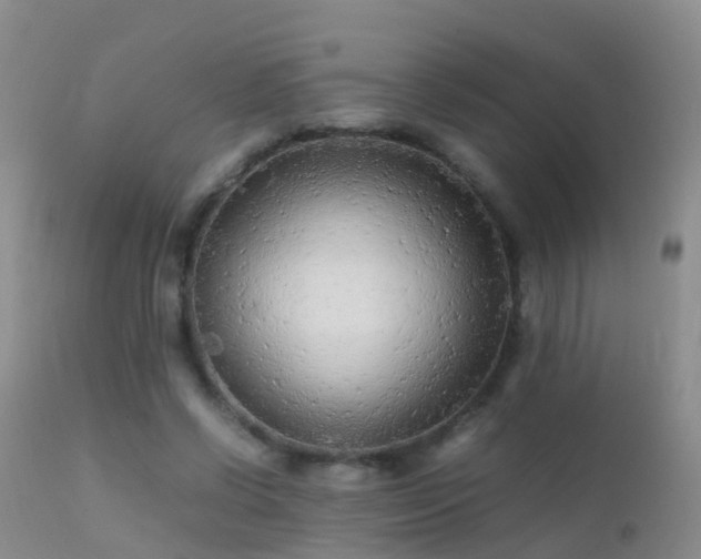 X0000112210542200908141500