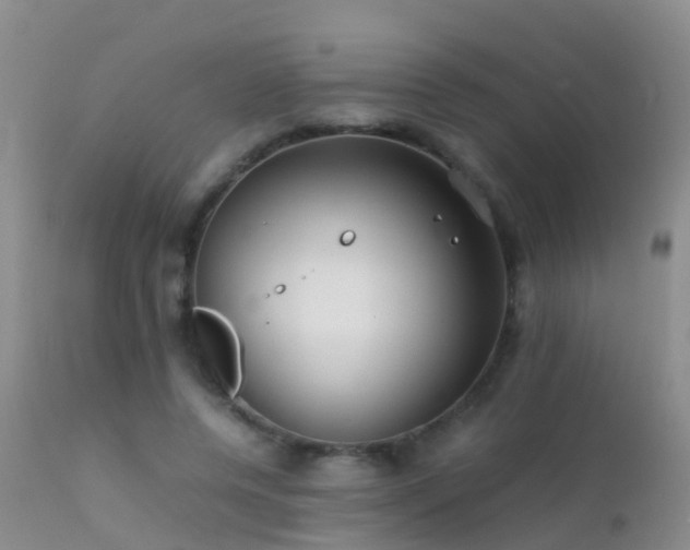 X0000112210544200908141500