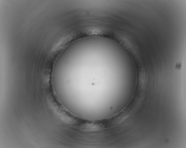 X0000112210545200908141500