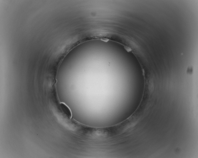 X0000112210546200908141500