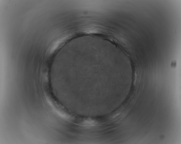 X0000112210547200908141500