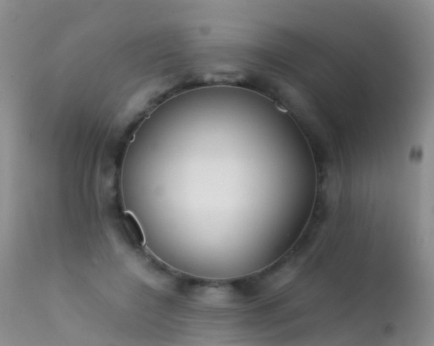 X0000112210548200908141500