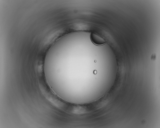 X0000112210549200908141500