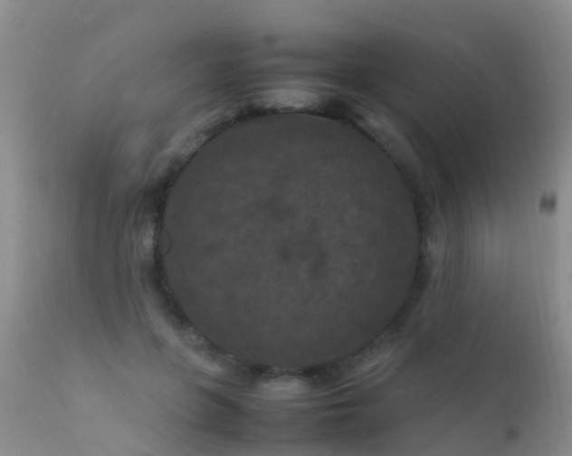 X0000112210551200908141500