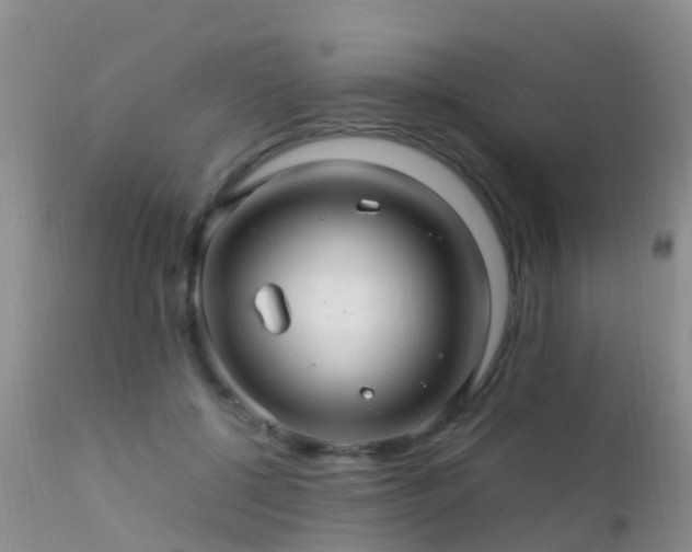 X0000112210552200908141500