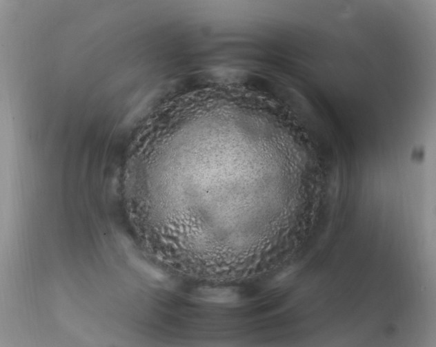 X0000112210553200908141500