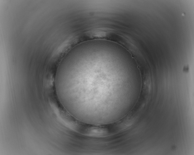 X0000112210555200908141500