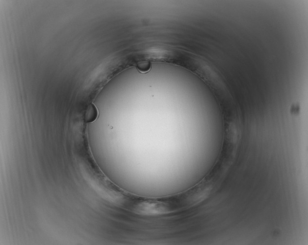 X0000112210557200908141501