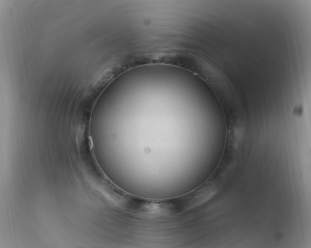 X0000112210558200908141501