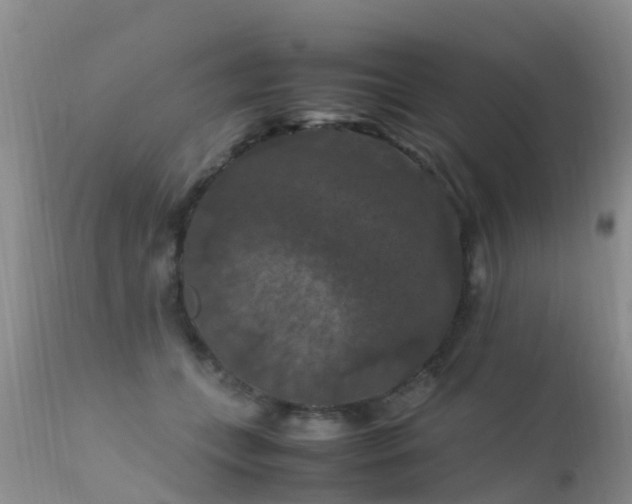 X0000112210559200908141501