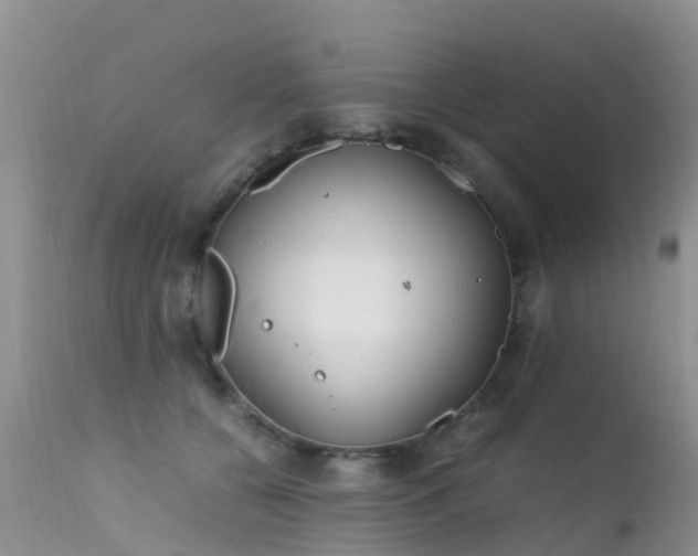 X0000112210560200908141501