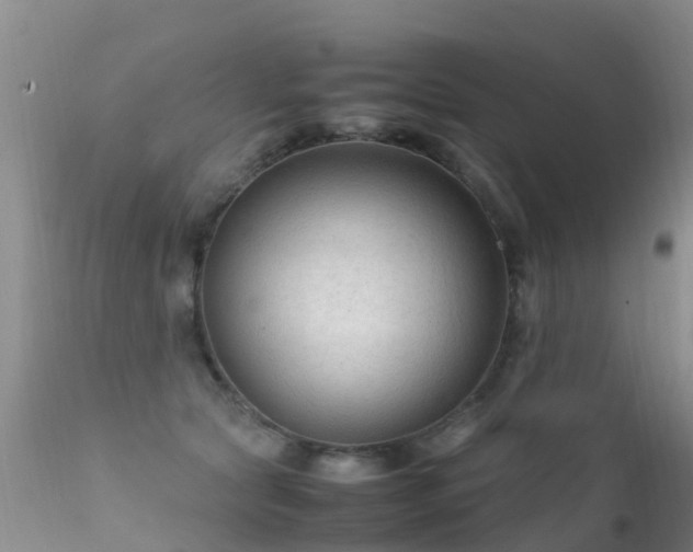 X0000112210561200908141501