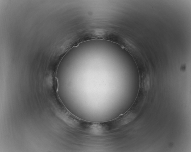 X0000112210562200908141501