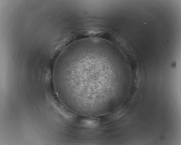 X0000112210563200908141501