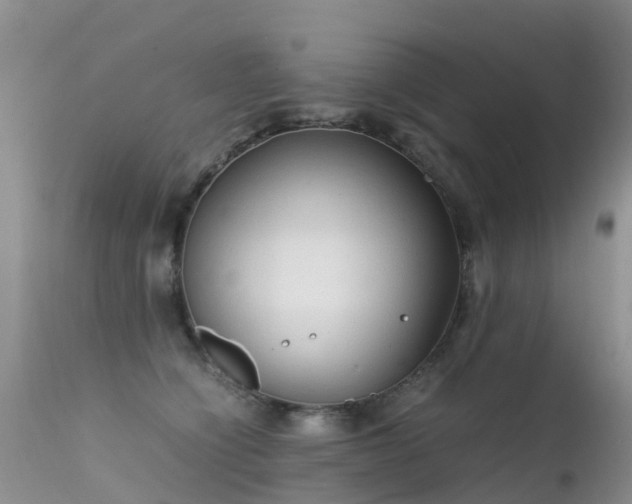 X0000112210564200908141501