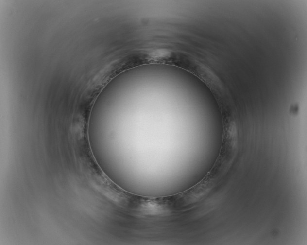 X0000112210565200908141501