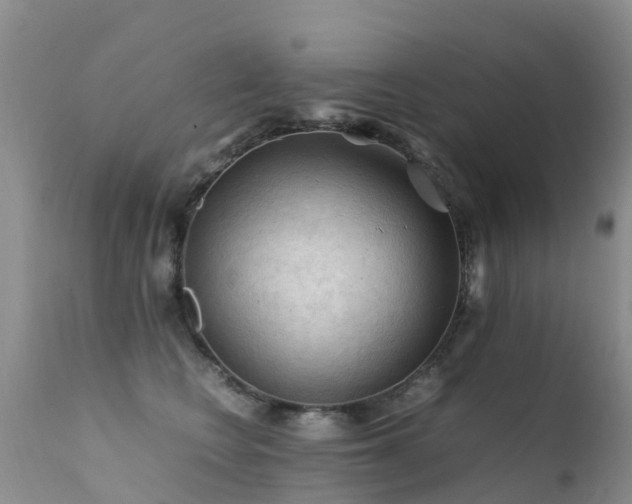 X0000112210566200908141501