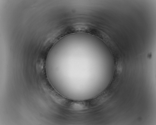 X0000112210567200908141501