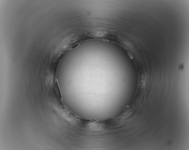 X0000112210568200908141501