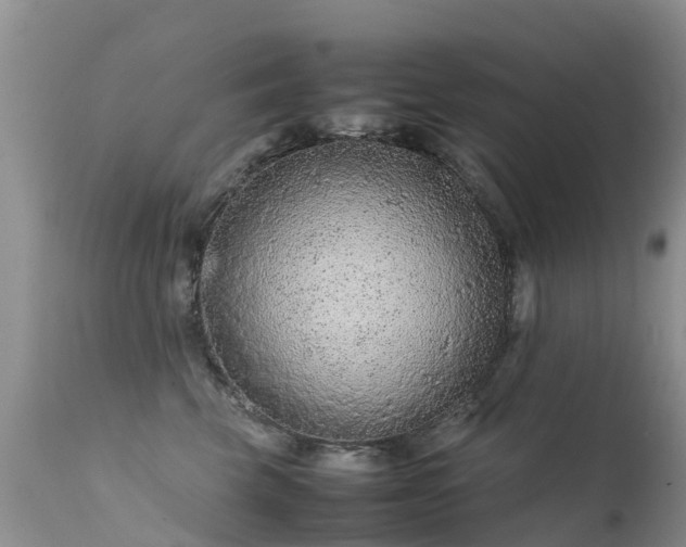 X0000112210569200908141501