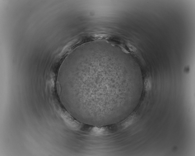 X0000112210570200908141501