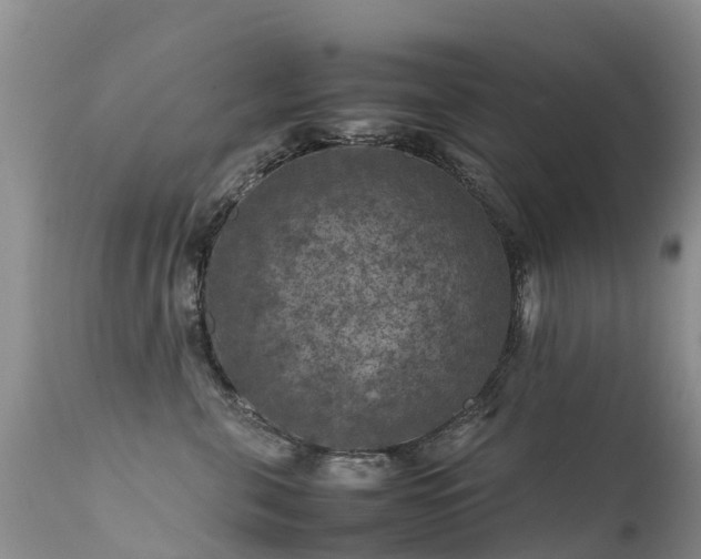 X0000112210571200908141501