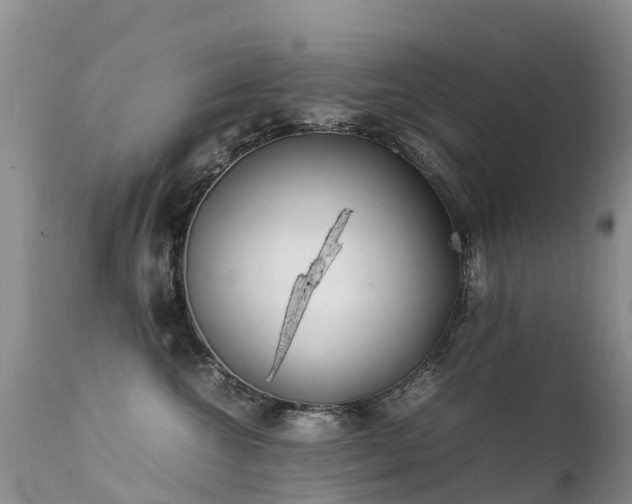 X0000112210572200908141501