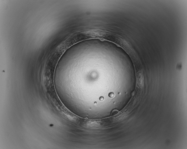 X0000112210573200908141501