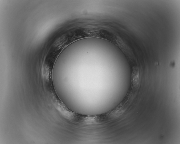 X0000112210574200908141501