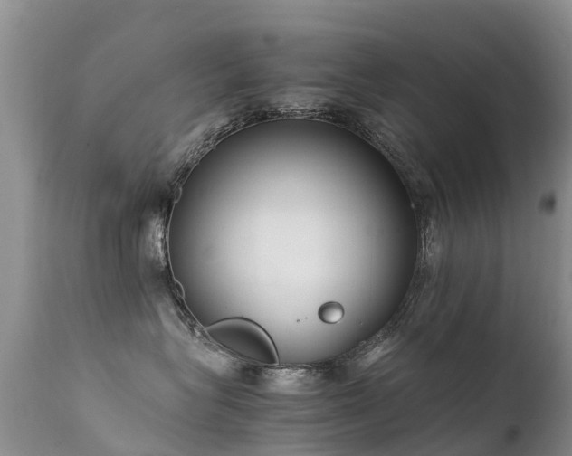 X0000112210575200908141501