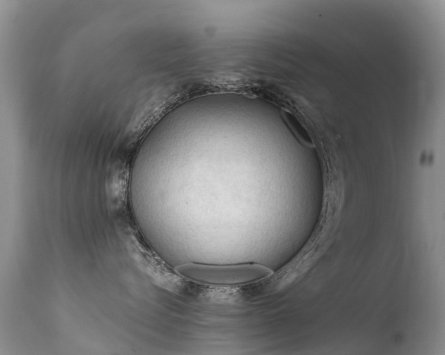 X0000112210576200908141501