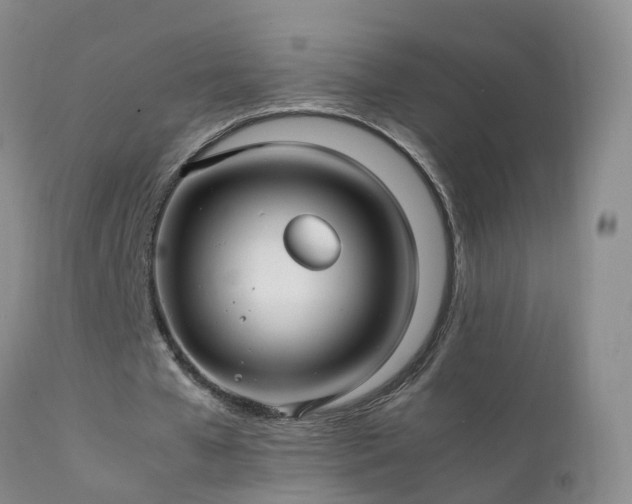 X0000112210577200908141500