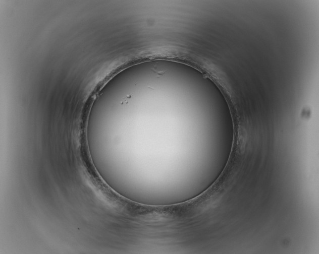 X0000112210578200908141500