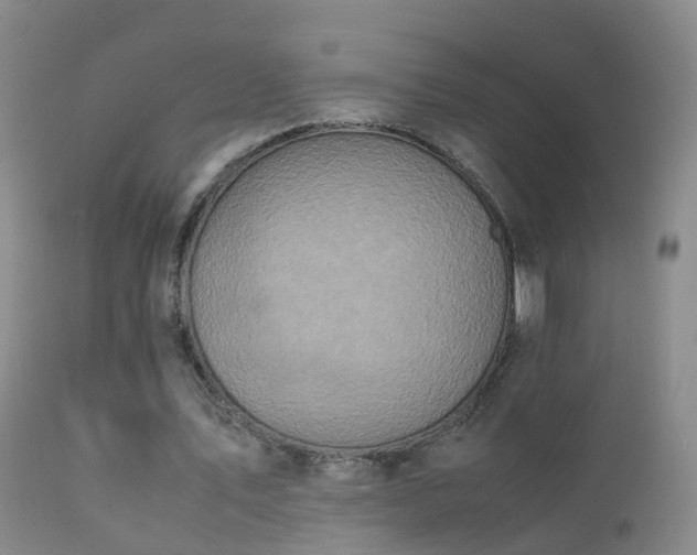 X0000112210579200908141500