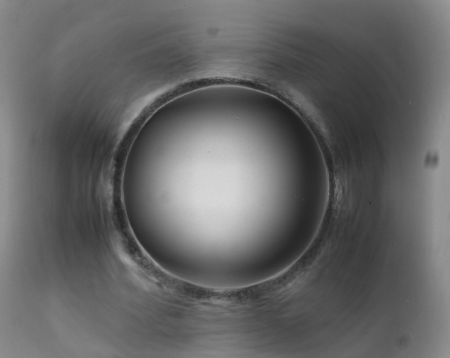 X0000112210580200908141500