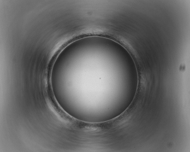 X0000112210582200908141500