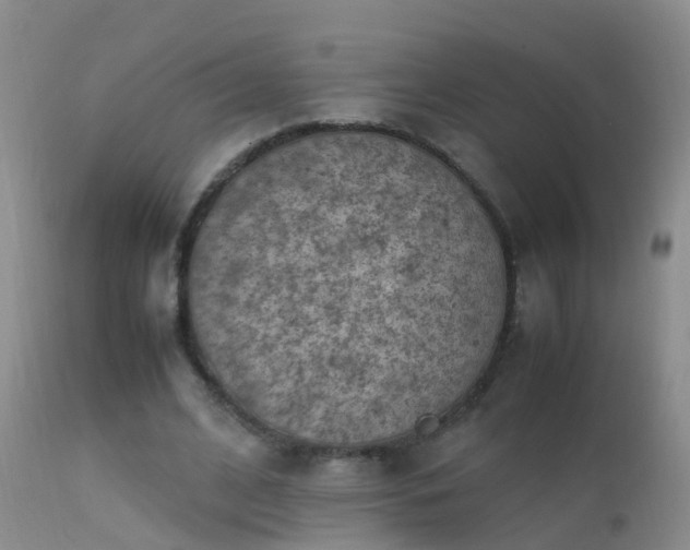 X0000112210584200908141500