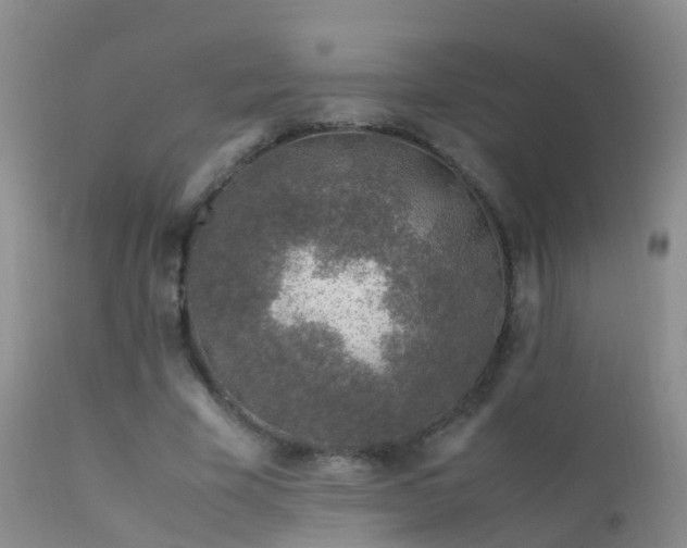 X0000112210585200908141500