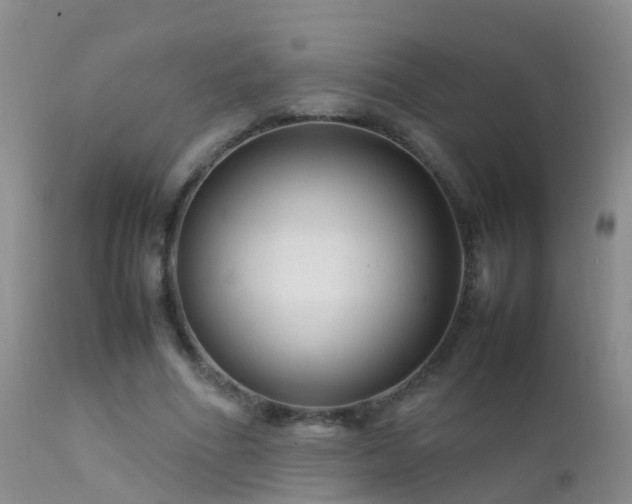 X0000112210586200908141500