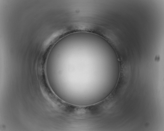 X0000112210587200908141500