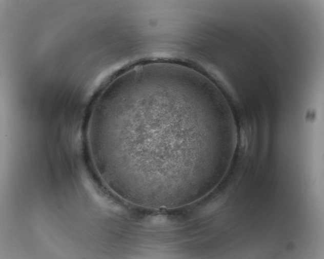 X0000112210588200908141500