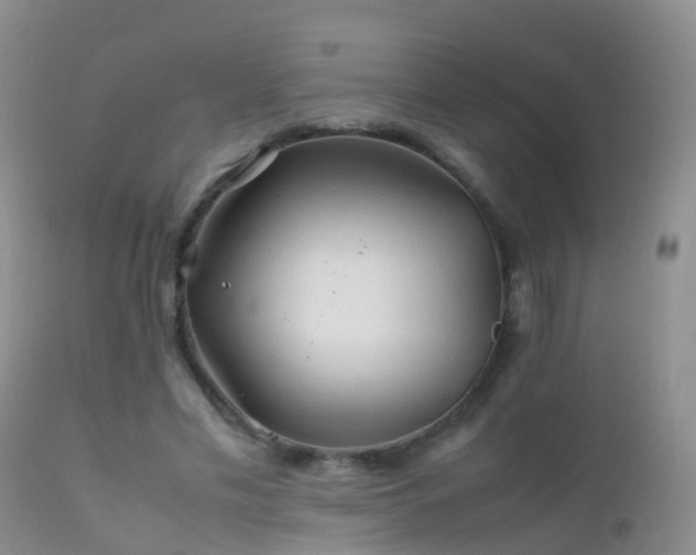 X0000112210589200908141500