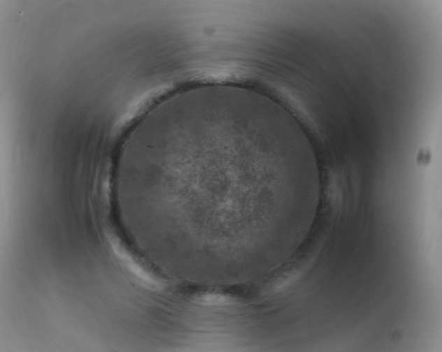 X0000112210590200908141500